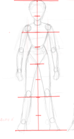 Characters Proportions - Morevna 1.png